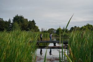 Terra Nova Rural Park - Richmond - BC Bird Trail