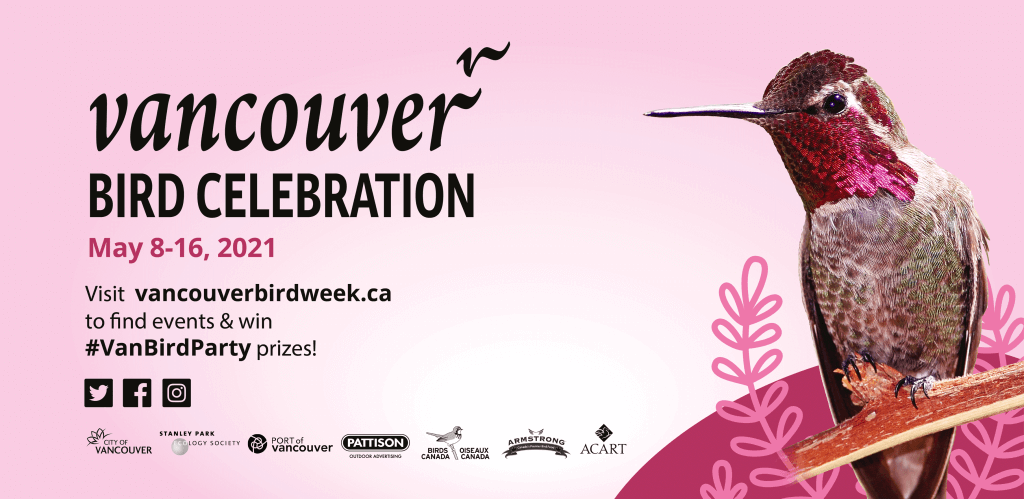 Vancouver Bird Celebration web banner