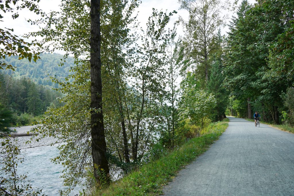 Flat and wide fine gravel trail on the Vedder River Rotary Trail.